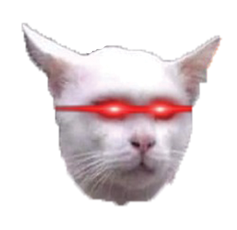 Buffcatonsolana memecoin Blank Meme Template