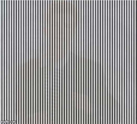 Find the secret image….. | image tagged in don't shake your head while looking at this | made w/ Imgflip meme maker