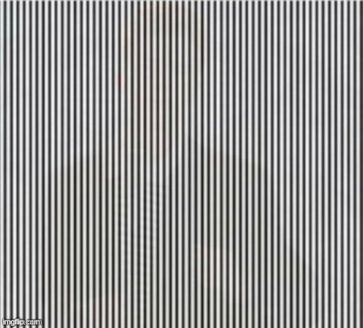 SECRET IMAGE | image tagged in don't shake your head while looking at this | made w/ Imgflip meme maker