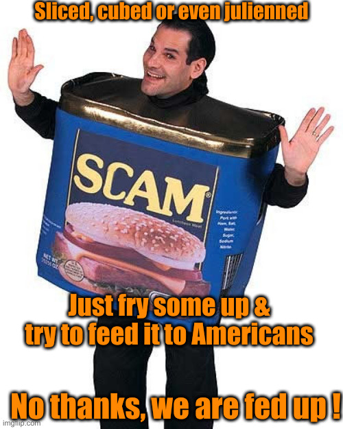 Scam | Sliced, cubed or even julienned; Just fry some up & try to feed it to Americans; No thanks, we are fed up ! | image tagged in scam,political meme,politics,funny memes,funny | made w/ Imgflip meme maker