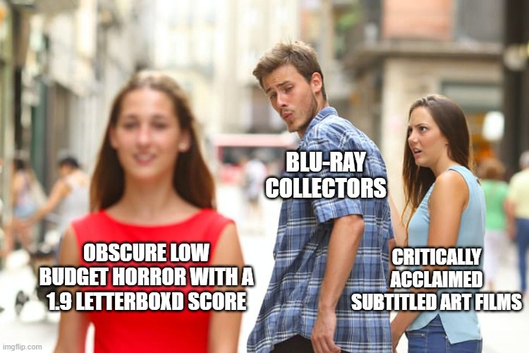 Blu-ray Collectors | BLU-RAY COLLECTORS; CRITICALLY ACCLAIMED SUBTITLED ART FILMS; OBSCURE LOW BUDGET HORROR WITH A 1.9 LETTERBOXD SCORE | image tagged in memes,distracted boyfriend | made w/ Imgflip meme maker
