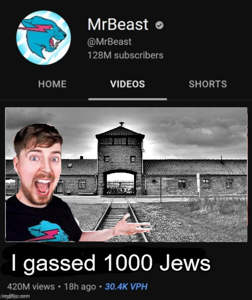 MrBeast thumbnail template | I gassed 1000 Jews | image tagged in mrbeast thumbnail template | made w/ Imgflip meme maker