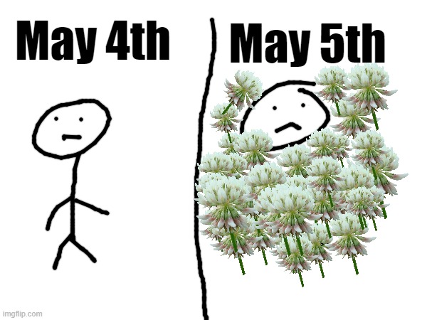 This might just be a tennsesse thing but the GOSH DARN DOGWOOD POLLEN | May 5th; May 4th | image tagged in summer,clover flower,may the 4th,im supposed to doing a project,i need to go back to therapy | made w/ Imgflip meme maker