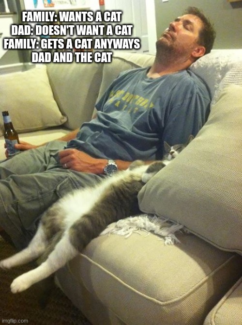 man and cat | FAMILY: WANTS A CAT
DAD: DOESN'T WANT A CAT
FAMILY: GETS A CAT ANYWAYS
DAD AND THE CAT | image tagged in man and cat | made w/ Imgflip meme maker