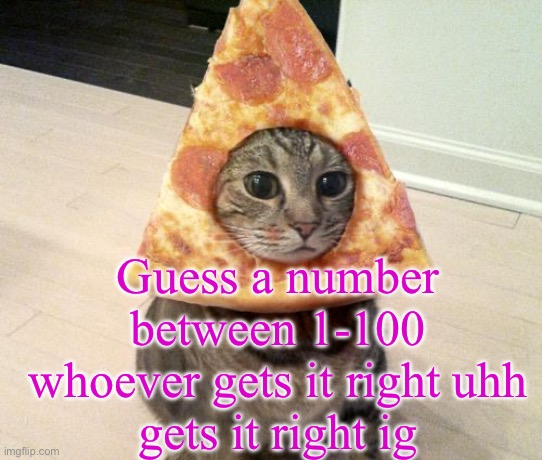 hint: its somewhat holy | Guess a number between 1-100
whoever gets it right uhh
gets it right ig | image tagged in pizza cat | made w/ Imgflip meme maker