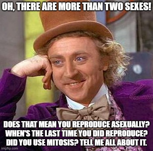 More Than Two Sexes | OH, THERE ARE MORE THAN TWO SEXES! DOES THAT MEAN YOU REPRODUCE ASEXUALLY? WHEN'S THE LAST TIME YOU DID REPRODUCE? DID YOU USE MITOSIS? TELL ME ALL ABOUT IT. | image tagged in memes,creepy condescending wonka,mitosis | made w/ Imgflip meme maker