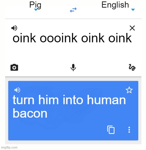 Google Translate | Pig; English; oink oooink oink oink; turn him into human
bacon | image tagged in google translate | made w/ Imgflip meme maker