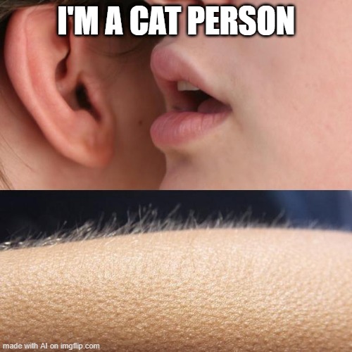 Bet She Likes Cat | I'M A CAT PERSON | image tagged in whisper and goosebumps | made w/ Imgflip meme maker