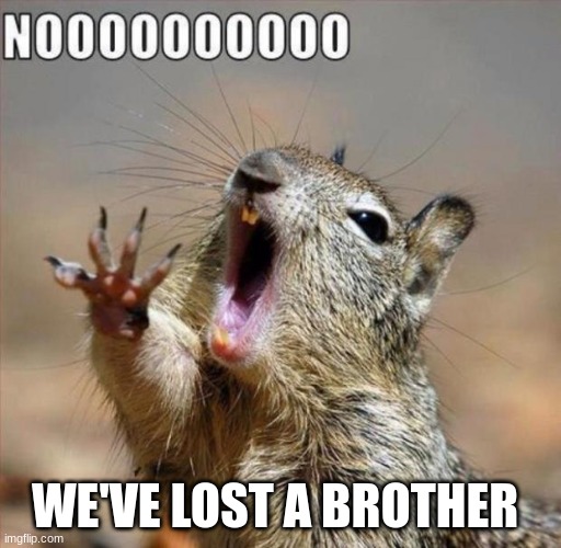 noooooooooooooooooooooooo | WE'VE LOST A BROTHER | image tagged in noooooooooooooooooooooooo | made w/ Imgflip meme maker