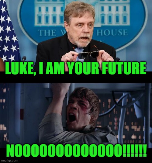 Star Wars No Meme | LUKE, I AM YOUR FUTURE; NOOOOOOOOOOOOO!!!!!! | image tagged in memes,star wars no | made w/ Imgflip meme maker