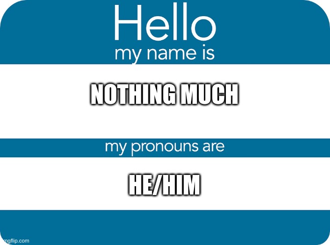 Nametag with Pronouncs | NOTHING MUCH HE/HIM | image tagged in nametag with pronouncs | made w/ Imgflip meme maker