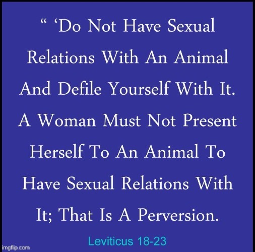 do not have sexual relations with an animal | image tagged in do not have sexual relations with an animal | made w/ Imgflip meme maker