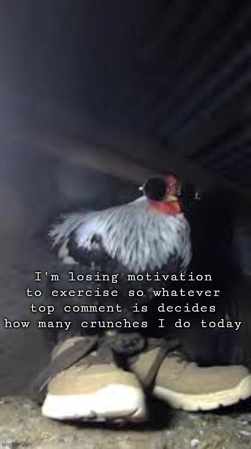 Drip chicken Sp3x_ | I'm losing motivation to exercise so whatever top comment is decides how many crunches I do today | image tagged in drip chicken sp3x_ | made w/ Imgflip meme maker