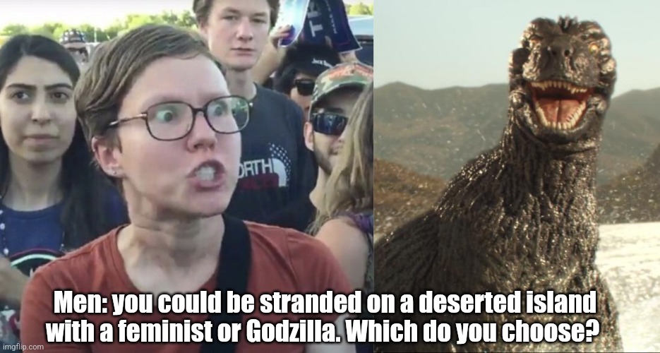 Feminist or Godzilla? | Men: you could be stranded on a deserted island with a feminist or Godzilla. Which do you choose? | image tagged in triggered feminist,godzilla approved | made w/ Imgflip meme maker