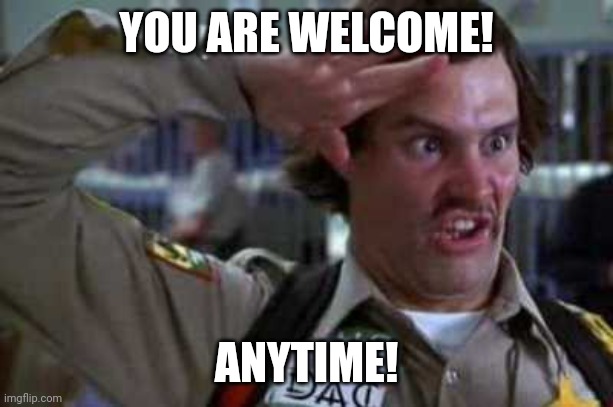 Doofus | YOU ARE WELCOME! ANYTIME! | image tagged in doofus | made w/ Imgflip meme maker