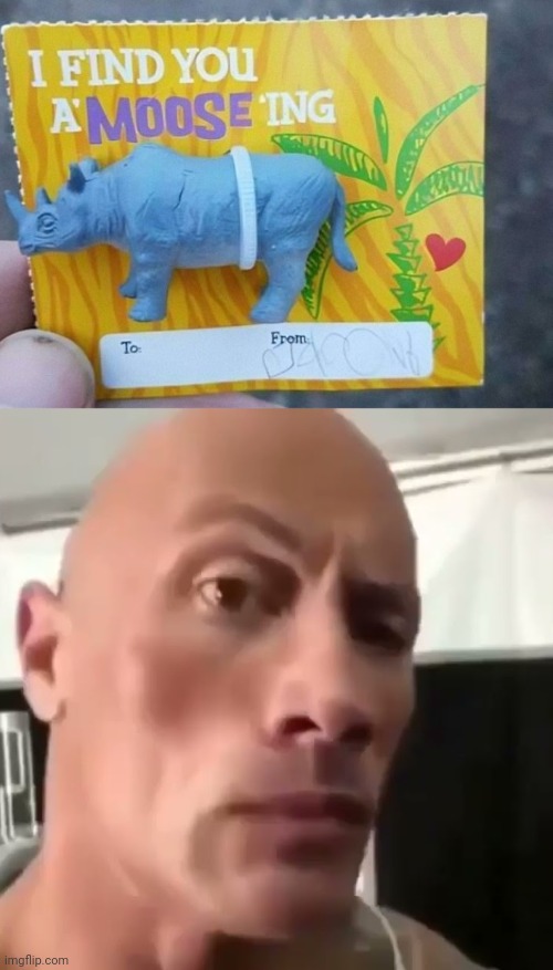 Moose'ing | image tagged in the rock eyebrow,card,cards,you had one job,memes,fail | made w/ Imgflip meme maker