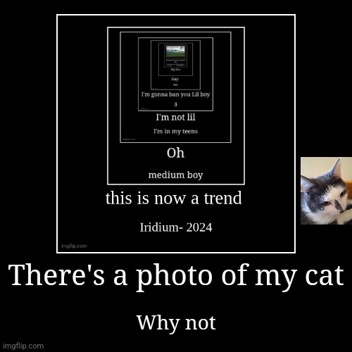 There's a photo of my cat | Why not | image tagged in funny,demotivationals | made w/ Imgflip demotivational maker