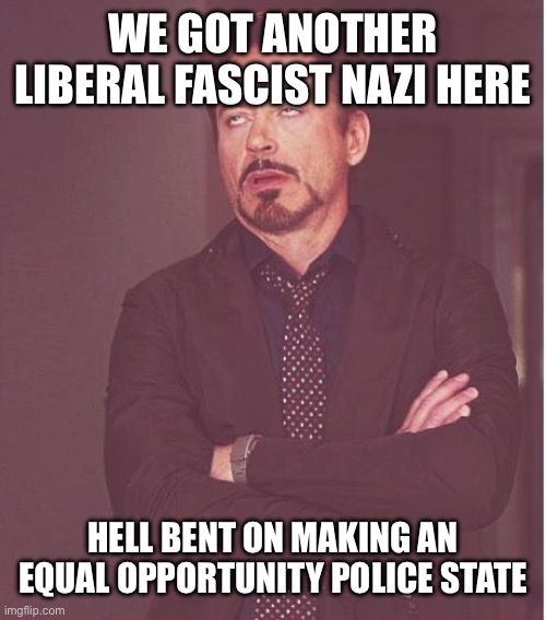 Face You Make Robert Downey Jr Meme | WE GOT ANOTHER LIBERAL FASCIST NAZI HERE HELL BENT ON MAKING AN EQUAL OPPORTUNITY POLICE STATE | image tagged in memes,face you make robert downey jr | made w/ Imgflip meme maker