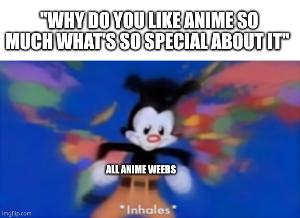 Yakko inhale | "WHY DO YOU LIKE ANIME SO MUCH WHAT'S SO SPECIAL ABOUT IT"; ALL ANIME WEEBS | image tagged in yakko inhale | made w/ Imgflip meme maker