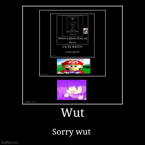 Wut | Sorry wut | image tagged in funny,demotivationals | made w/ Imgflip demotivational maker