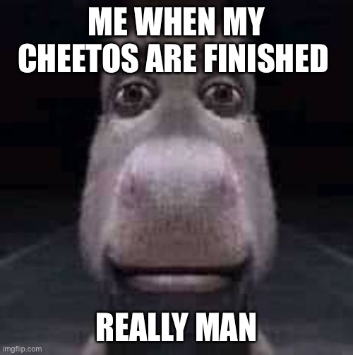 Donkey staring | ME WHEN MY CHEETOS ARE FINISHED; REALLY MAN | image tagged in donkey staring | made w/ Imgflip meme maker