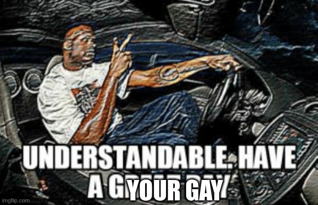 Understandable have a great day | YOUR GAY | image tagged in understandable have a great day | made w/ Imgflip meme maker