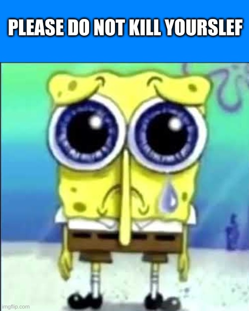 Sad Spongebob | PLEASE DO NOT KILL YOURSLEF | image tagged in sad spongebob | made w/ Imgflip meme maker
