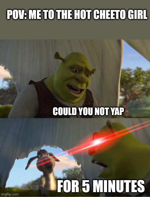 Shrek For Five Minutes | POV: ME TO THE HOT CHEETO GIRL; COULD YOU NOT YAP; FOR 5 MINUTES | image tagged in shrek for five minutes | made w/ Imgflip meme maker