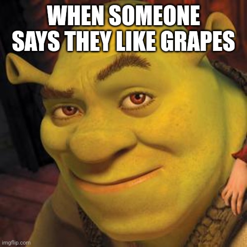 WOAH WOAH HEHEH | WHEN SOMEONE SAYS THEY LIKE GRAPES | image tagged in shrek sexy face | made w/ Imgflip meme maker
