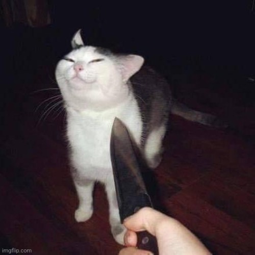 This mofo thinks I won't do it | made w/ Imgflip meme maker