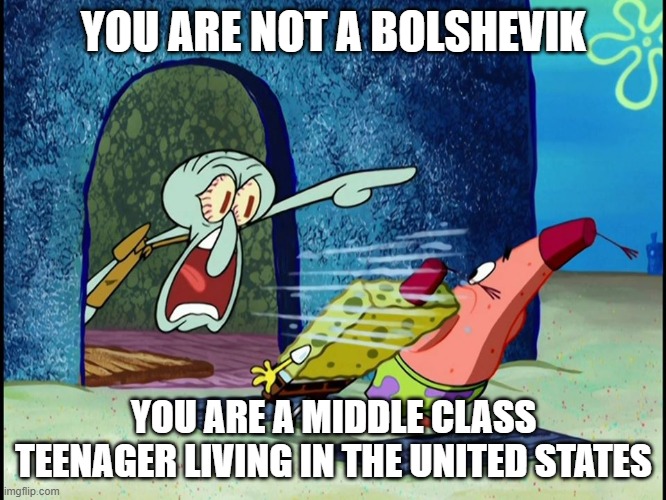 @_communism_ | YOU ARE NOT A BOLSHEVIK; YOU ARE A MIDDLE CLASS TEENAGER LIVING IN THE UNITED STATES | image tagged in squidward screaming | made w/ Imgflip meme maker