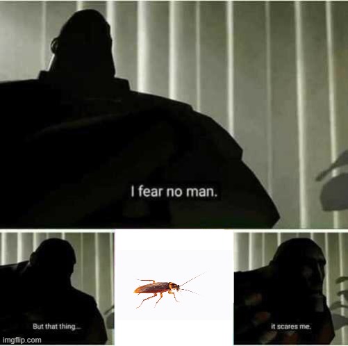 roach. | image tagged in i fear no man,tf2,planes,navy,jazzy,fun | made w/ Imgflip meme maker