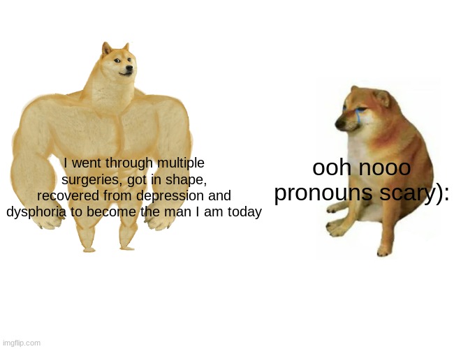 Trans ftm meme | I went through multiple surgeries, got in shape, recovered from depression and dysphoria to become the man I am today; ooh nooo pronouns scary): | image tagged in memes,buff doge vs cheems | made w/ Imgflip meme maker