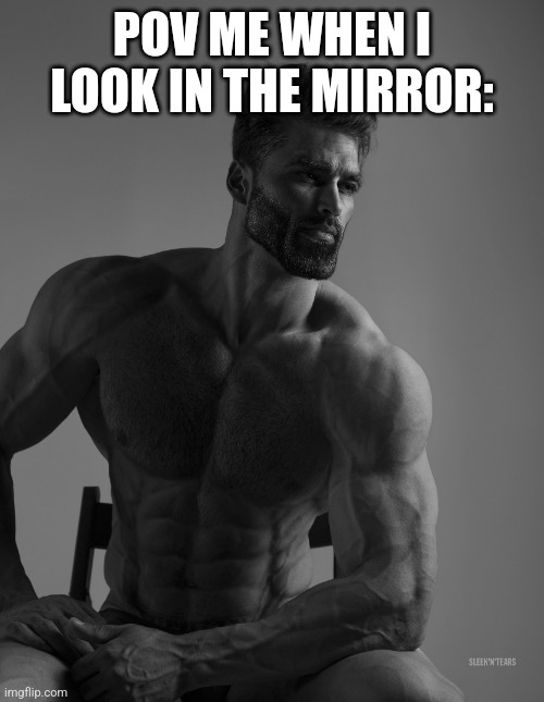 So ture | POV ME WHEN I LOOK IN THE MIRROR: | image tagged in giga chad | made w/ Imgflip meme maker