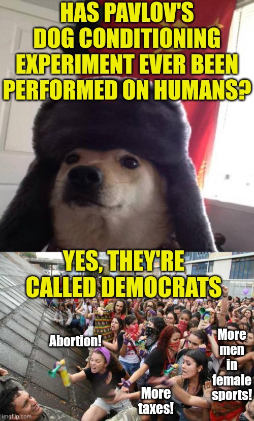 When facts can be rejected for illogical narratives and irrational emotions, you must be a Democrat | HAS PAVLOV'S DOG CONDITIONING EXPERIMENT EVER BEEN PERFORMED ON HUMANS? YES, THEY'RE CALLED DEMOCRATS; Abortion! More men in female sports! More taxes! | image tagged in sjw women protest,pavlov,democrats,people who don't know vs people who know,liberalism,democratic socialism | made w/ Imgflip meme maker