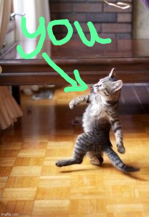 Cool Cat Stroll Meme | image tagged in memes,cool cat stroll | made w/ Imgflip meme maker