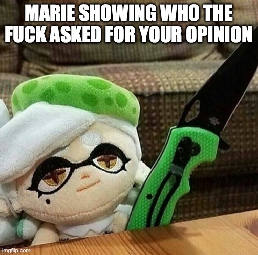 Marie plush with a knife | MARIE SHOWING WHO THE FUCK ASKED FOR YOUR OPINION | image tagged in marie plush with a knife | made w/ Imgflip meme maker