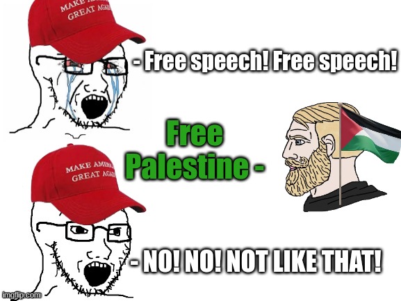 Crying Hypocrite Wojak | - Free speech! Free speech! Free Palestine -; - NO! NO! NOT LIKE THAT! | image tagged in crying hypocrite wojak,palestine,maga,insanity,free speech | made w/ Imgflip meme maker