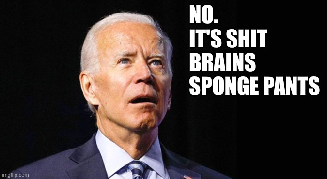 Confused joe biden | NO. IT'S SHIT BRAINS SPONGE PANTS | image tagged in confused joe biden | made w/ Imgflip meme maker