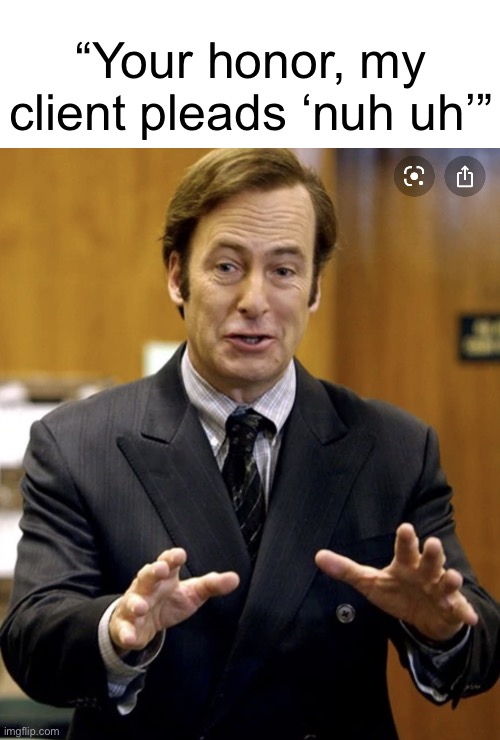 “Your honor, my client pleads ‘nuh uh’” | image tagged in your honor | made w/ Imgflip meme maker