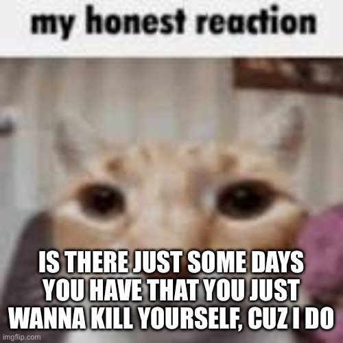 My Honest Reaction | IS THERE JUST SOME DAYS YOU HAVE THAT YOU JUST WANNA KILL YOURSELF, CUZ I DO | image tagged in my honest reaction | made w/ Imgflip meme maker