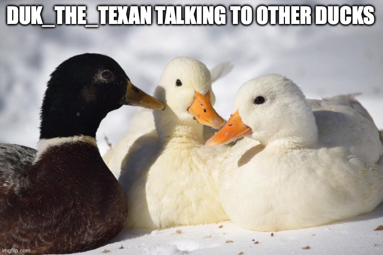 Dunkin Ducks | DUK_THE_TEXAN TALKING TO OTHER DUCKS | image tagged in dunkin ducks | made w/ Imgflip meme maker