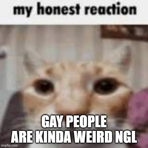 My Honest Reaction | GAY PEOPLE ARE KINDA WEIRD NGL | image tagged in my honest reaction | made w/ Imgflip meme maker