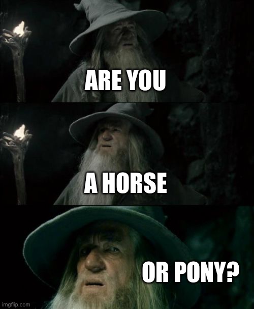 Confused Gandalf | ARE YOU; A HORSE; OR PONY? | image tagged in memes,confused gandalf | made w/ Imgflip meme maker