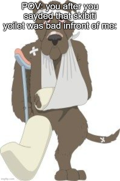 Injured dog | POV: you after you sayded that skibiti yoilet was bad infront of me: | image tagged in injured dog | made w/ Imgflip meme maker