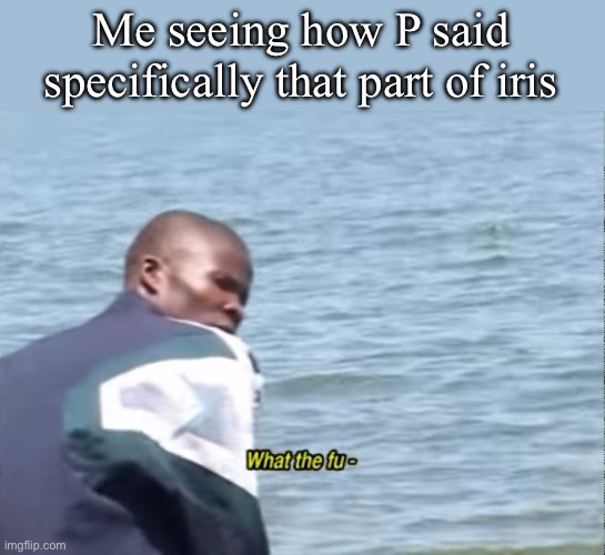 What the fu- | Me seeing how P said specifically that part of iris | image tagged in what the fu- | made w/ Imgflip meme maker