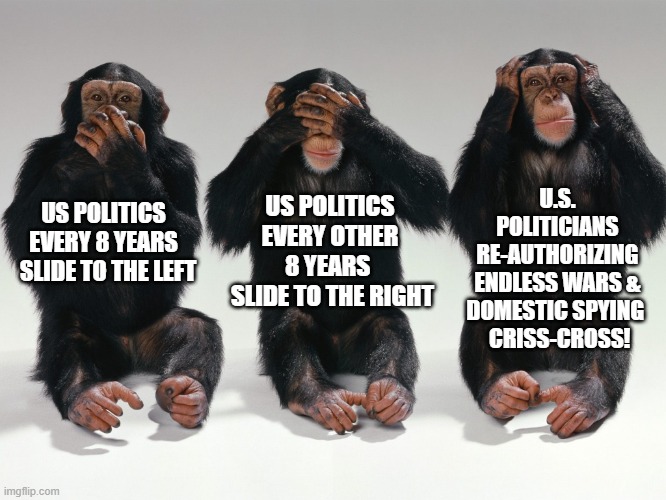 three monkeys | US POLITICS EVERY OTHER 8 YEARS 
 SLIDE TO THE RIGHT; U.S. POLITICIANS RE-AUTHORIZING ENDLESS WARS & DOMESTIC SPYING 
 CRISS-CROSS! US POLITICS EVERY 8 YEARS
  SLIDE TO THE LEFT | image tagged in three monkeys,politicians,republicans,democrats,spying,politics | made w/ Imgflip meme maker