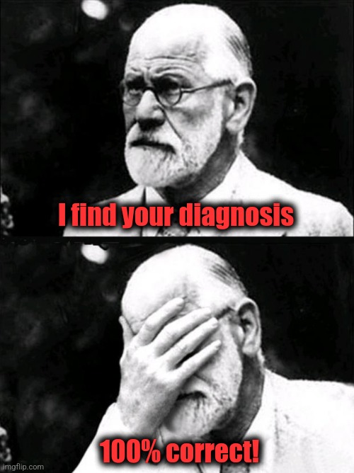 Freud | I find your diagnosis 100% correct! | image tagged in freud | made w/ Imgflip meme maker