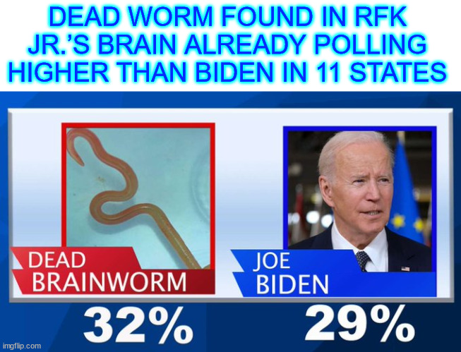 Dead worm beating Bribem in polls... | DEAD WORM FOUND IN RFK JR.’S BRAIN ALREADY POLLING HIGHER THAN BIDEN IN 11 STATES | image tagged in dead worm,beating,bribem,polls | made w/ Imgflip meme maker
