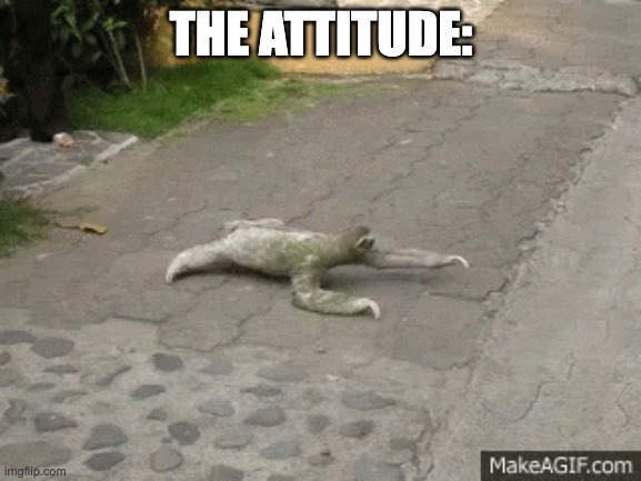 sloth attitude | THE ATTITUDE: | image tagged in sloth | made w/ Imgflip meme maker